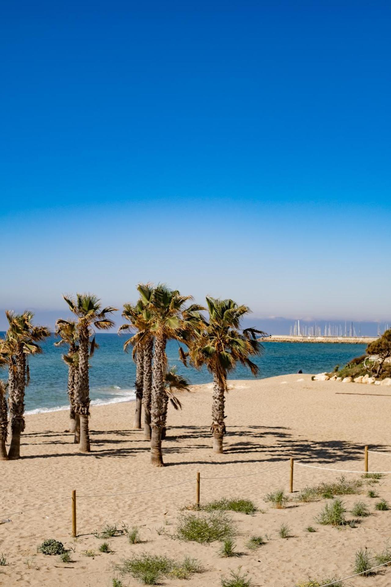 Paraiso Frente Al Mar Apto Duplex Coma-ruga Εξωτερικό φωτογραφία